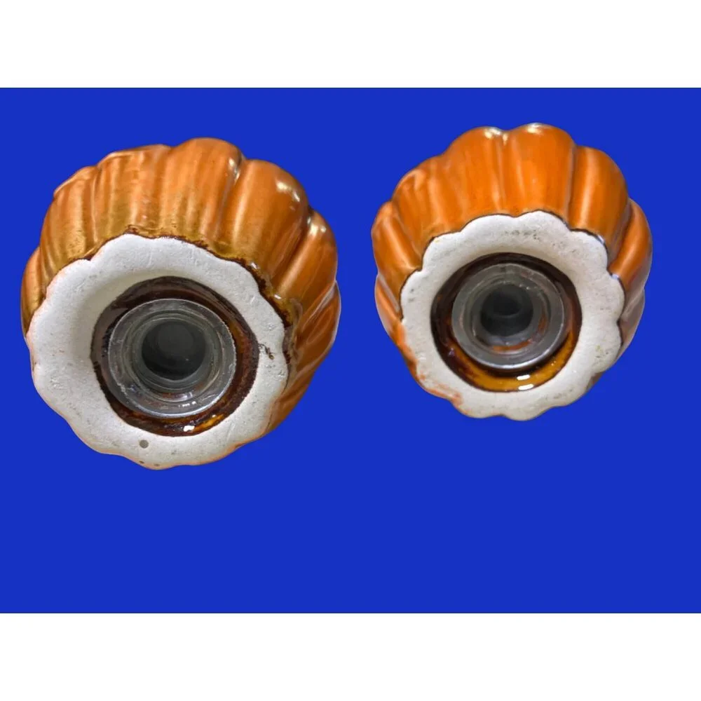 Thanksgiving Fall Pumpkin Salt and Pepper Shaker Set